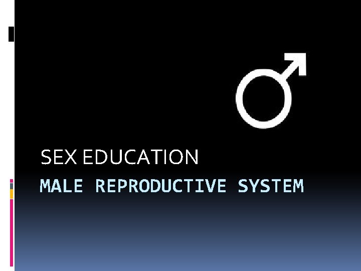 SEX EDUCATION MALE REPRODUCTIVE SYSTEM SEX EDUCATION MALE REPRODUCTIVE SYSTEM