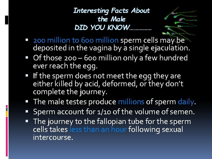 Interesting Facts About the Male DID YOU KNOW…………… 200 million to 600 million sperm Interesting Facts About the Male DID YOU KNOW…………… 200 million to 600 million sperm