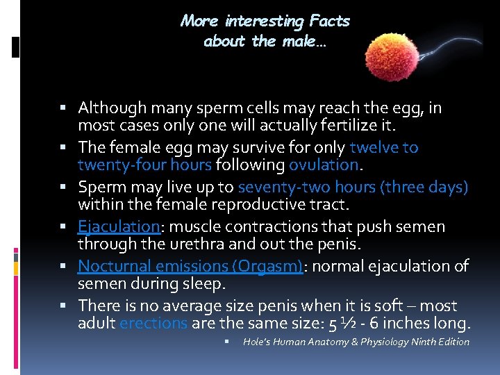 More interesting Facts about the male… Although many sperm cells may reach the egg, More interesting Facts about the male… Although many sperm cells may reach the egg,