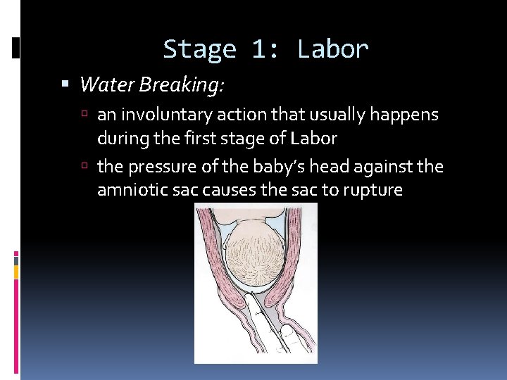 Stage 1: Labor Water Breaking: an involuntary action that usually happens during the first Stage 1: Labor Water Breaking: an involuntary action that usually happens during the first