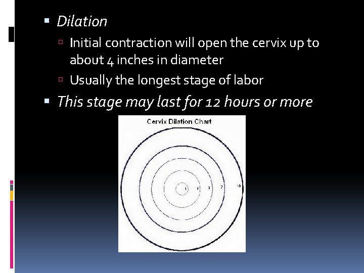 Dilation Initial contraction will open the cervix up to about 4 inches in Dilation Initial contraction will open the cervix up to about 4 inches in