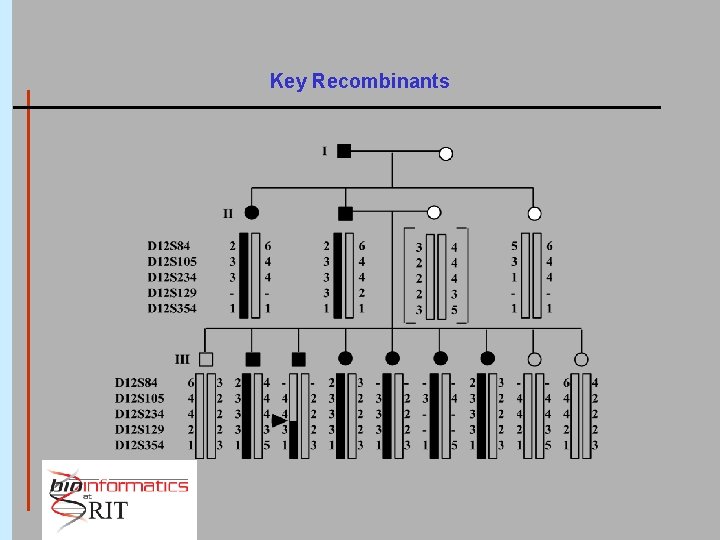 Key Recombinants 