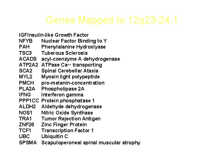 Genes Mapped to 12 q 23 -24. 1 IGFInsulin-like Growth Factor NFYB Nuclear Factor