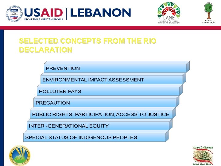 SELECTED CONCEPTS FROM THE RIO DECLARATION SELECTED CONCEPTS FROM THE RIO DECLARATION