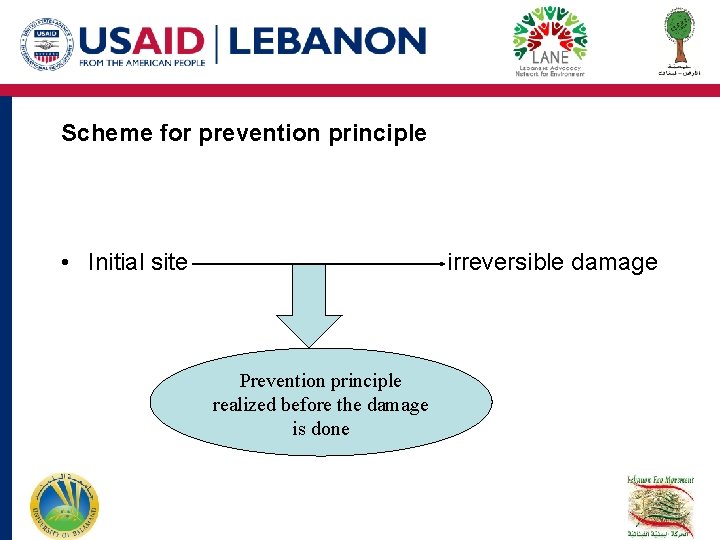 Scheme for prevention principle • Initial site irreversible damage Prevention principle realized before the Scheme for prevention principle • Initial site irreversible damage Prevention principle realized before the