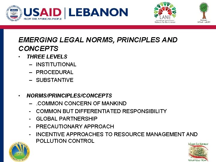 EMERGING LEGAL NORMS, PRINCIPLES AND CONCEPTS • THREE LEVELS – INSTITUTIONAL – PROCEDURAL – EMERGING LEGAL NORMS, PRINCIPLES AND CONCEPTS • THREE LEVELS – INSTITUTIONAL – PROCEDURAL –