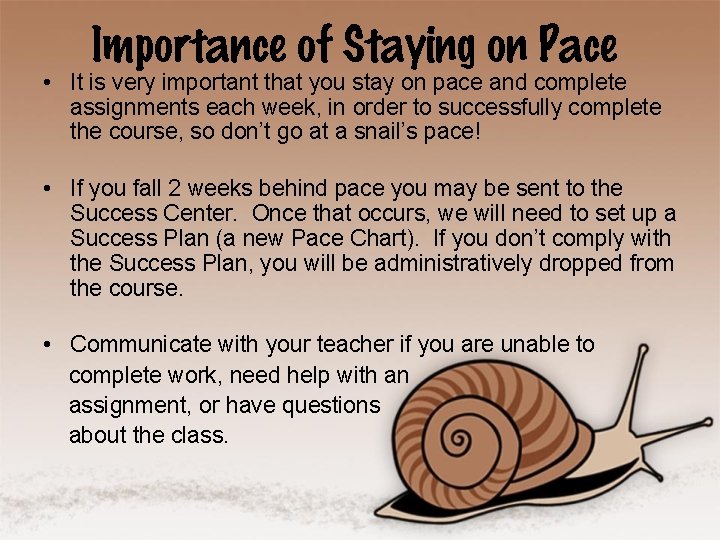 Importance of Staying on Pace • It is very important that you stay on