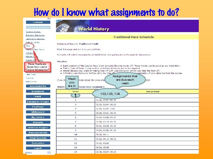 How do I know what assignments to do? Week you are in 1 Assignments