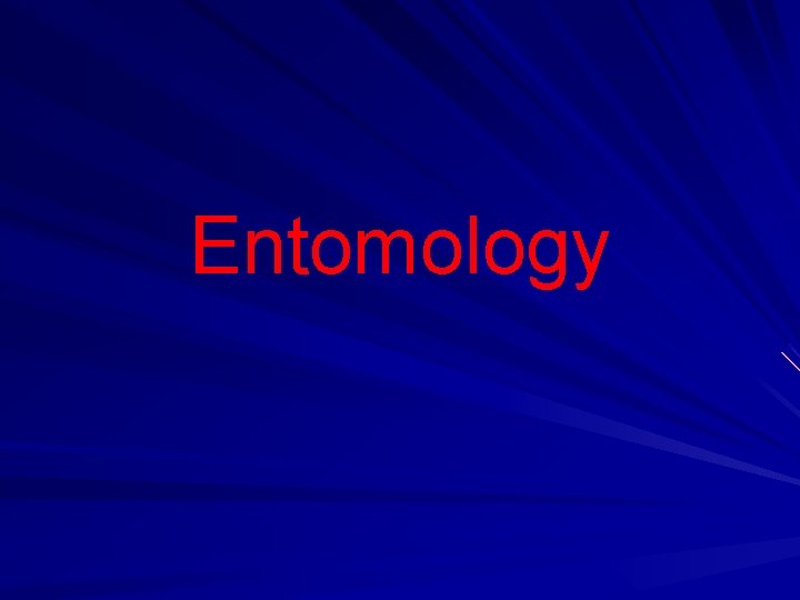 Entomology 