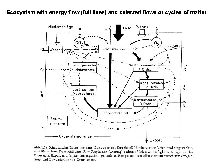 Ecosystem with energy flow (full lines) and selected flows or cycles of matter 