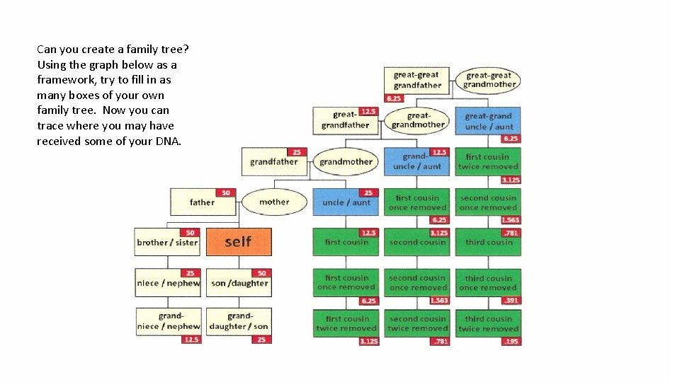 Can you create a family tree? Using the graph below as a framework, try