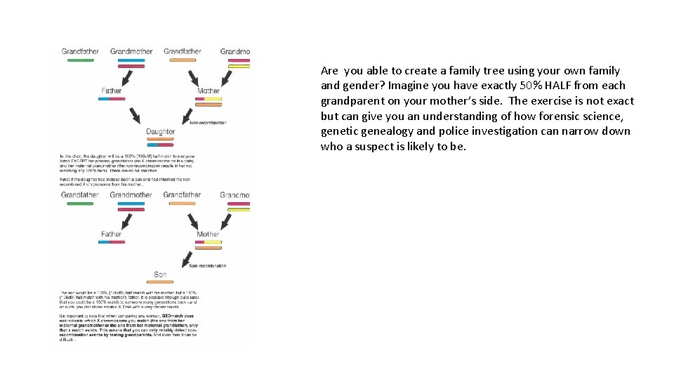 Are you able to create a family tree using your own family and gender?