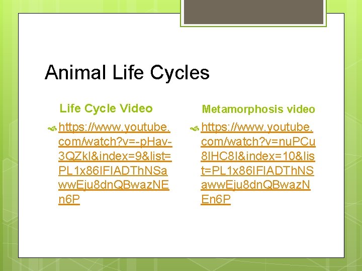 Animal Life Cycles Life Cycle Video Metamorphosis video https: //www. youtube. com/watch? v=-p. Hav