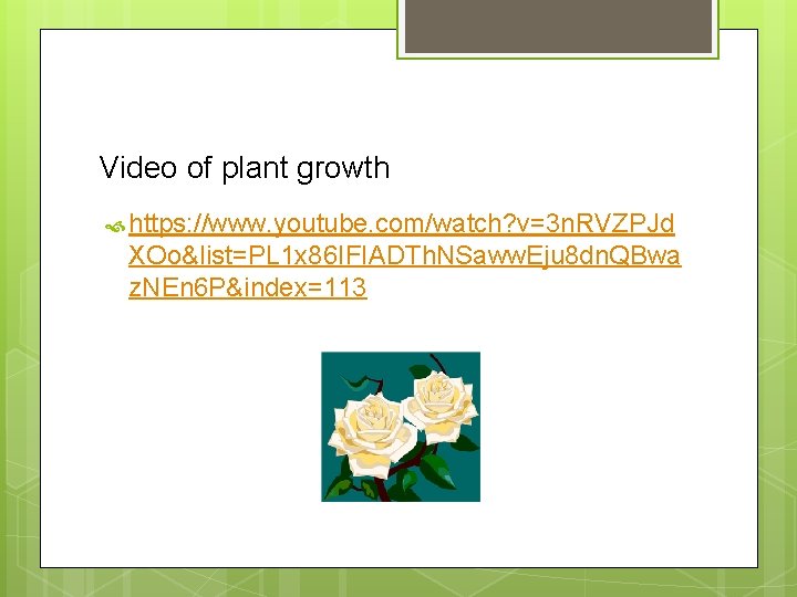 Video of plant growth https: //www. youtube. com/watch? v=3 n. RVZPJd XOo&list=PL 1 x