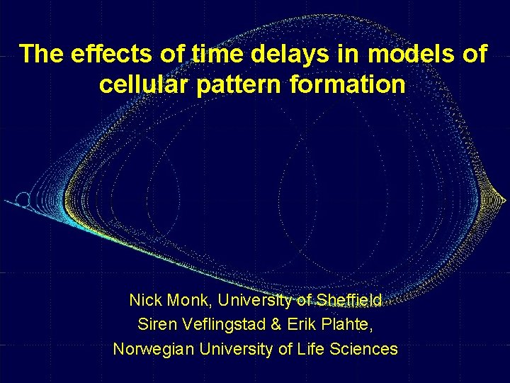 The effects of time delays in models of