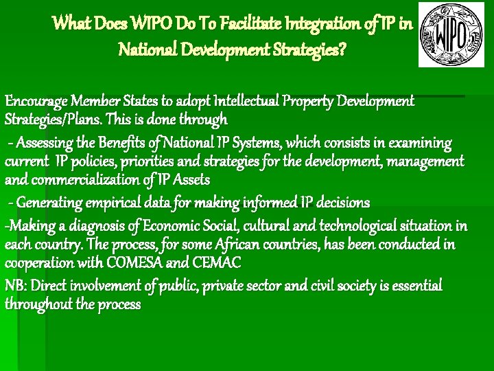 What Does WIPO Do To Facilitate Integration of IP in National Development Strategies? Encourage