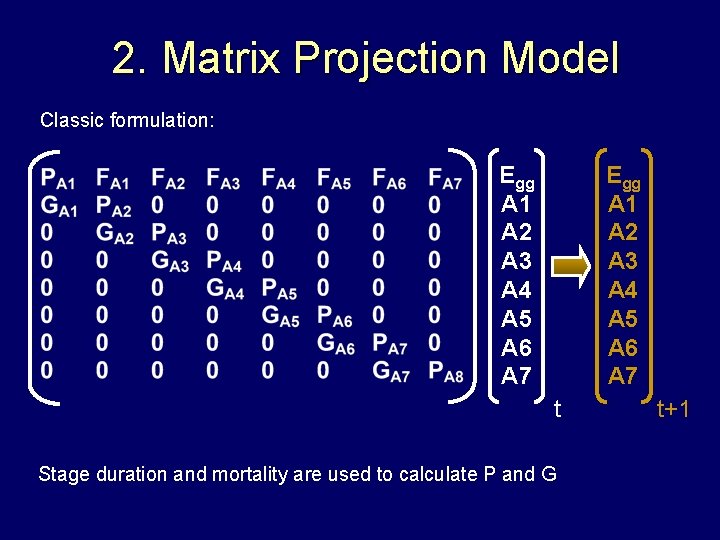 2. Matrix Projection Model Classic formulation: Egg A 1 A 2 A 3 A 2. Matrix Projection Model Classic formulation: Egg A 1 A 2 A 3 A