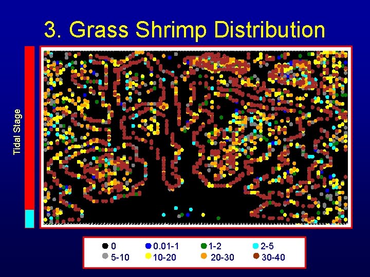 Tidal Stage 3. Grass Shrimp Distribution 0 5 -10 0. 01 -1 10 -20 Tidal Stage 3. Grass Shrimp Distribution 0 5 -10 0. 01 -1 10 -20