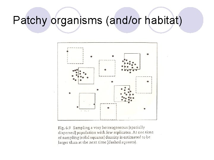 Patchy organisms (and/or habitat) Patchy organisms (and/or habitat)