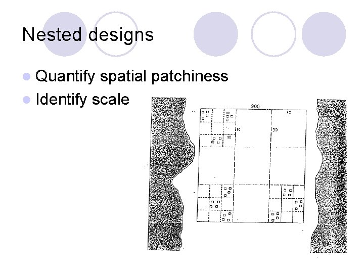 Nested designs l Quantify spatial patchiness l Identify scale Nested designs l Quantify spatial patchiness l Identify scale