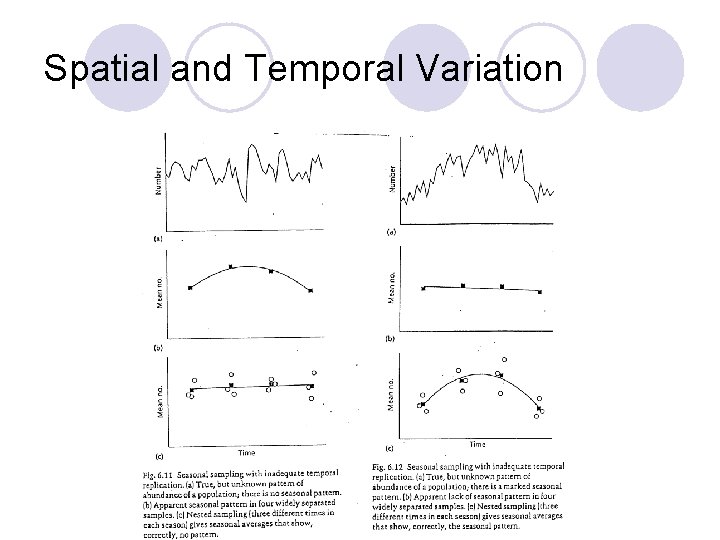 Spatial and Temporal Variation Spatial and Temporal Variation