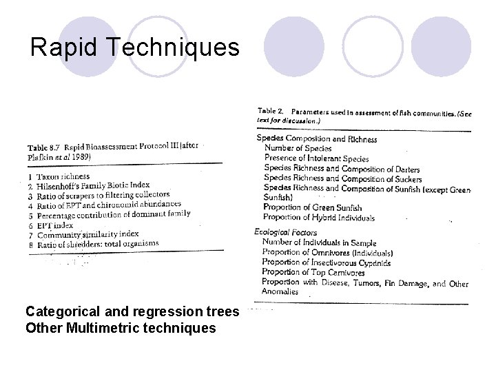 Rapid Techniques Categorical and regression trees Other Multimetric techniques Rapid Techniques Categorical and regression trees Other Multimetric techniques