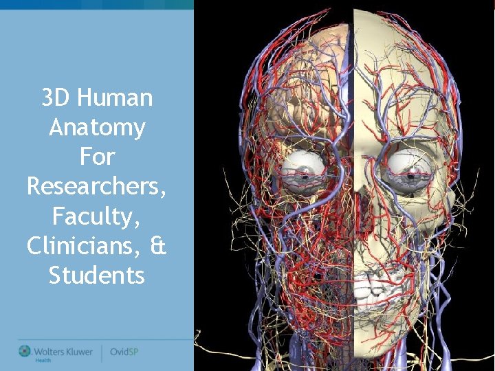 3 D Human Anatomy For Researchers, Faculty, Clinicians, & Students 3 D Human Anatomy For Researchers, Faculty, Clinicians, & Students