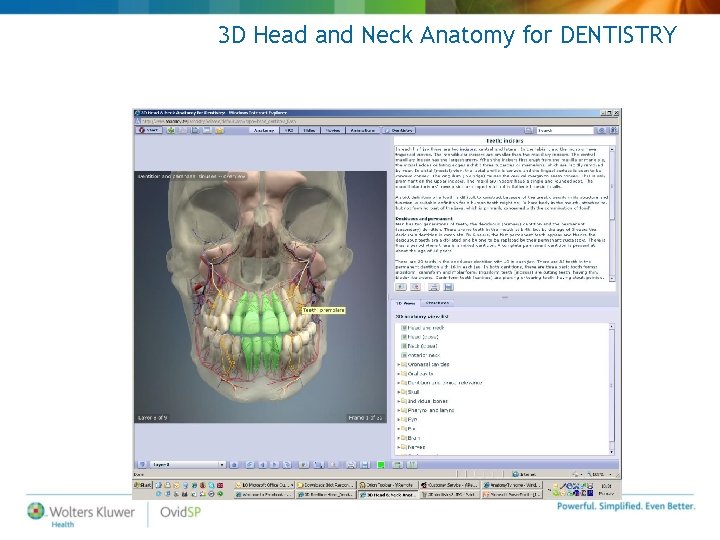 3 D Head and Neck Anatomy for DENTISTRY 3 D Head and Neck Anatomy for DENTISTRY