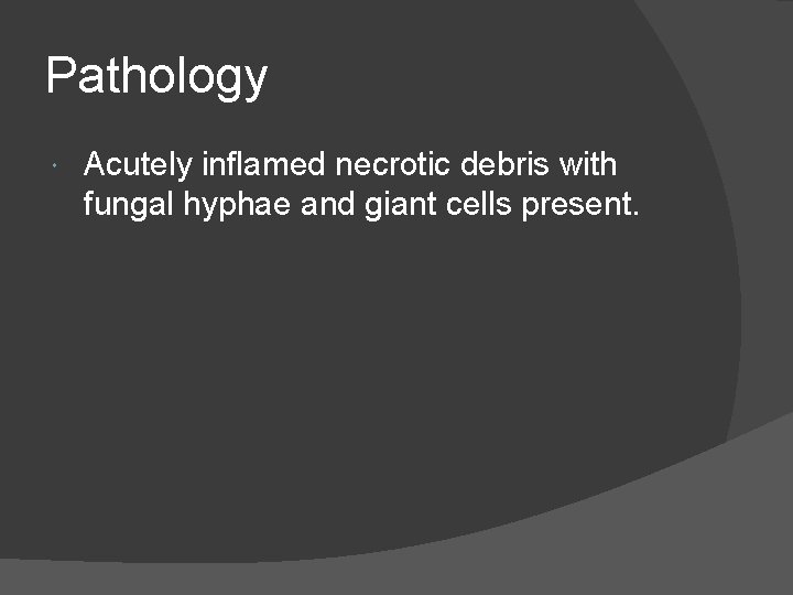 Pathology Acutely inflamed necrotic debris with fungal hyphae and giant cells present. 