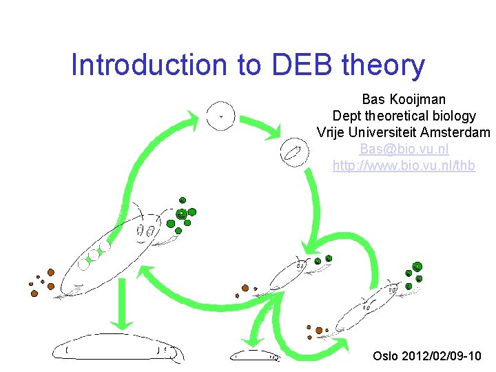 Introduction to DEB theory Bas Kooijman Dept theoretical biology Vrije Universiteit Amsterdam Bas@bio. vu.