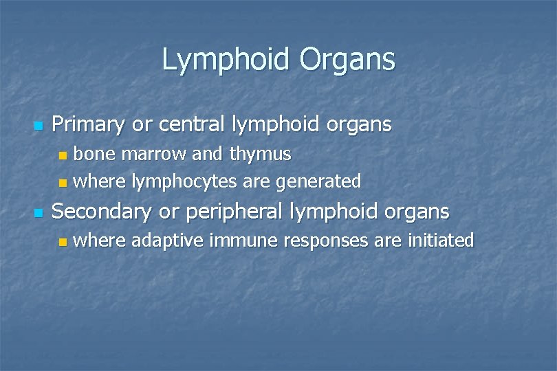 Lymphoid Organs n Primary or central lymphoid organs bone marrow and thymus n where