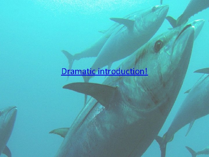 Dramatic introduction! 