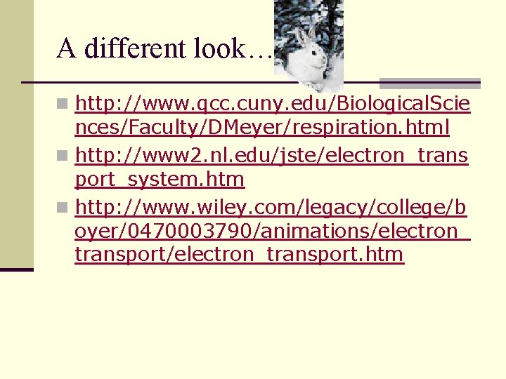A different look… n http: //www. qcc. cuny. edu/Biological. Scie nces/Faculty/DMeyer/respiration. html n http: