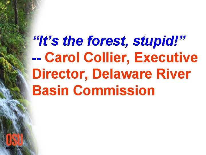 “It’s the forest, stupid!” -- Carol Collier, Executive Director, Delaware River Basin Commission 