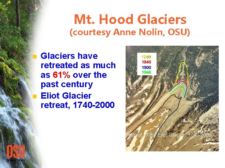 Mt. Hood Glaciers (courtesy Anne Nolin, OSU) n n Glaciers have retreated as much