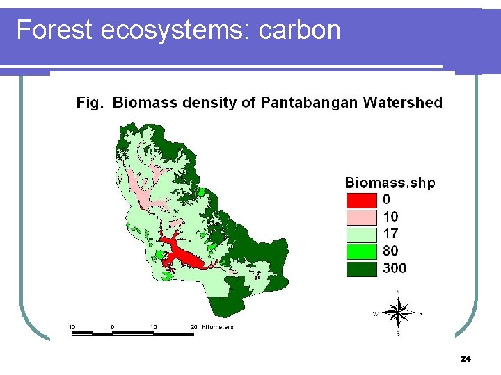 Forest ecosystems: carbon 24 