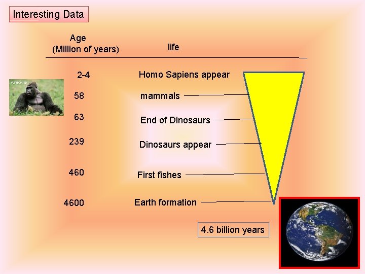 Interesting Data Age (Million of years) 2 -4 life Homo Sapiens appear 58 mammals