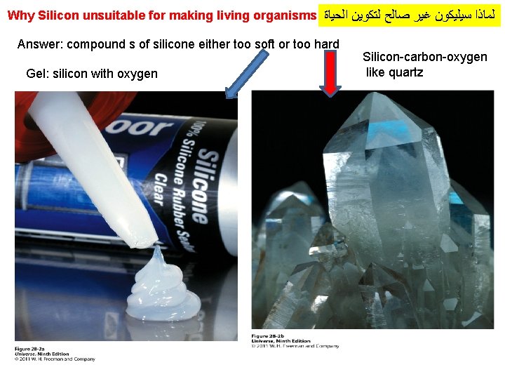 Why Silicon unsuitable for making living organisms ﻟﻤﺎﺫﺍ ﺳﻴﻠﻴﻜﻮﻥ ﻏﻴﺮ ﺻﺎﻟﺢ ﻟﺘﻜﻮﻳﻦ ﺍﻟﺤﻴﺎﺓ Answer: