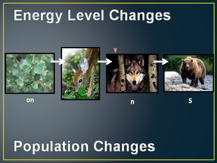 Energy Level Changes y on n Population Changes S 