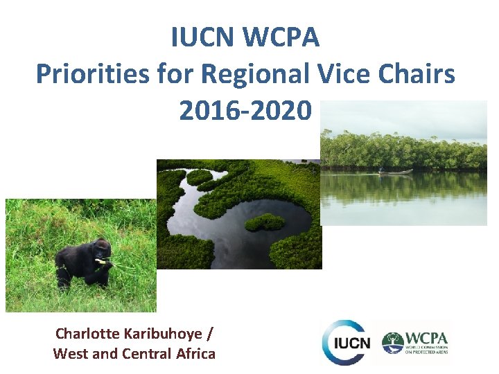 IUCN WCPA Priorities for Regional Vice Chairs 2016 -2020 Charlotte Karibuhoye / West and