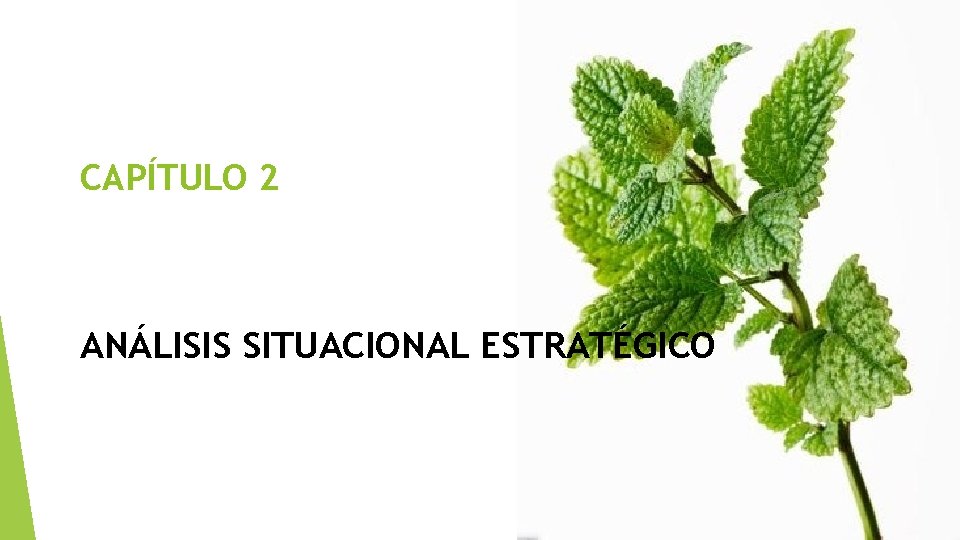 CAPÍTULO 2 ANÁLISIS SITUACIONAL ESTRATÉGICO 