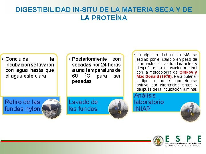 DIGESTIBILIDAD IN-SITU DE LA MATERIA SECA Y DE LA PROTEÍNA • Concluida la incubación