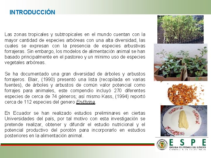 INTRODUCCIÓN Las zonas tropicales y subtropicales en el mundo cuentan con la mayor cantidad