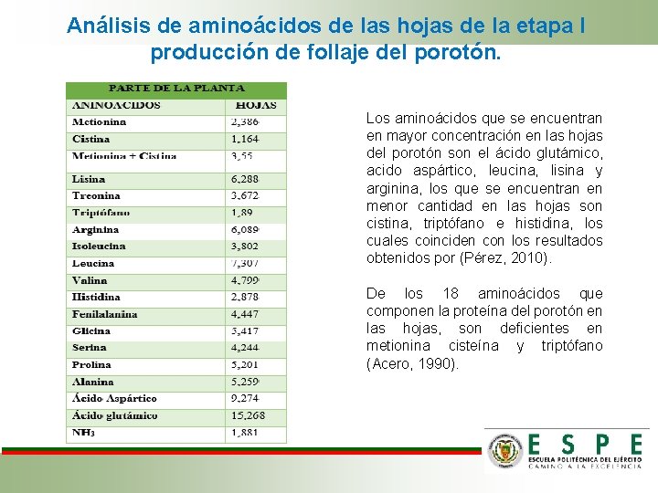 Análisis de aminoácidos de las hojas de la etapa I producción de follaje del