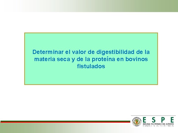 Determinar el valor de digestibilidad de la materia seca y de la proteína en