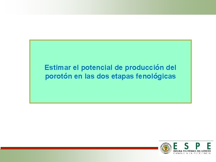 Estimar el potencial de producción del porotón en las dos etapas fenológicas 