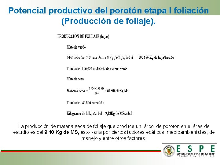 Potencial productivo del porotón etapa I foliación (Producción de follaje). La producción de materia Potencial productivo del porotón etapa I foliación (Producción de follaje). La producción de materia