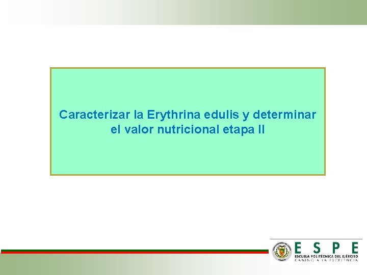 Caracterizar la Erythrina edulis y determinar el valor nutricional etapa II 