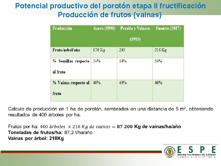  Potencial productivo del porotón etapa II fructificación Producción de frutos (vainas) 