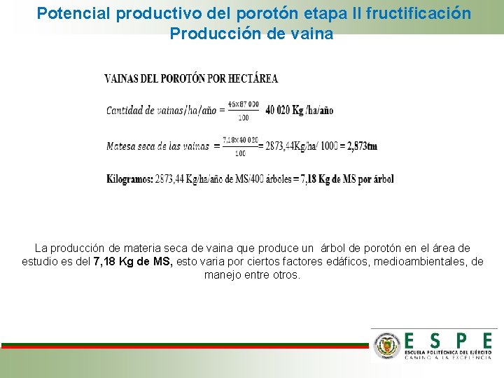  Potencial productivo del porotón etapa II fructificación Producción de vaina La producción de